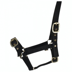 Nylon Headcollar - Fully Adjustable
